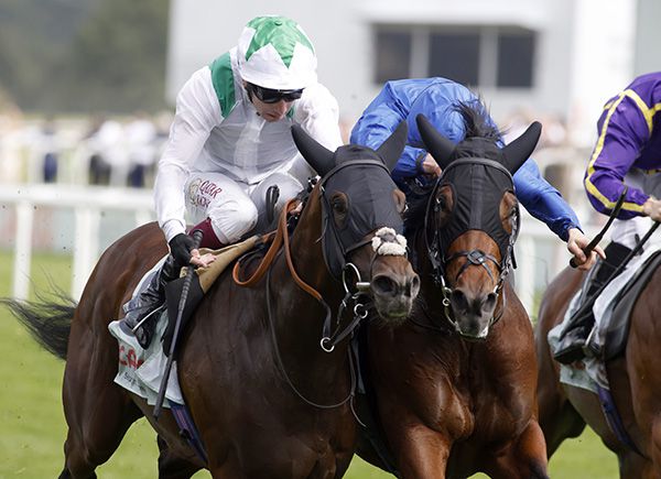 Hoo Ya Mal finished gallant second in Derby 