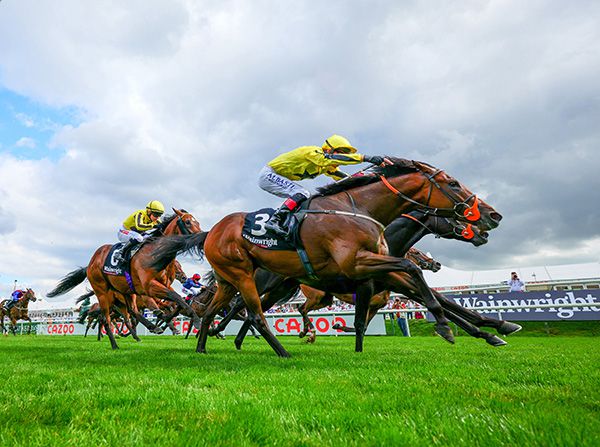 Caturra (near side) winning at Doncaster
