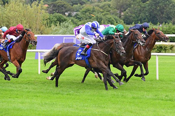 Atomic Jones and Colin Keane (near side) stay on best to beat Stone Age (green)

