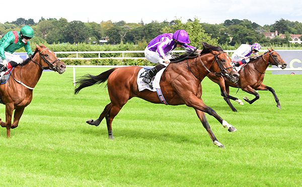 St Mark's Basilica beating Tarnawa and Poetic Flare at Leopardstown