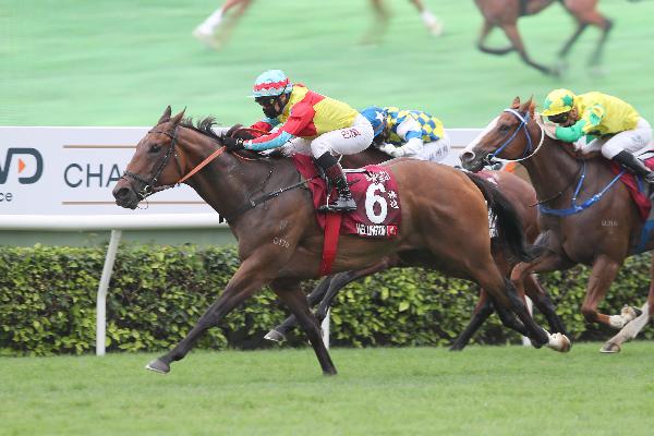 Wellington is one of Hong Kong’s finest sprinters.