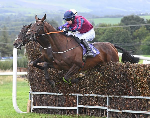 Rippon Lodge and Philip Donovan 