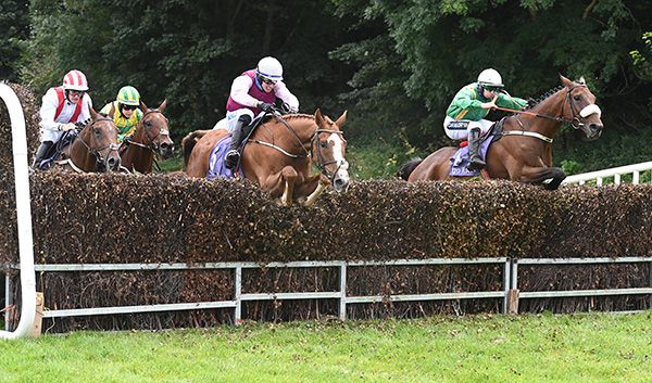 Grange Walk (left) is upsides Benefit Run, which is about to fall, at the last
