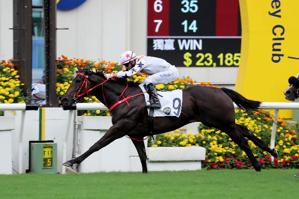 Courier Wonder is one of Hong Kong’s sharpest short course talents.
