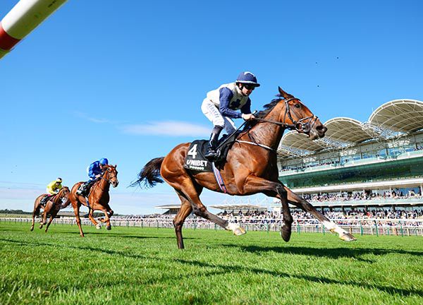 Forbearance and Shane Foley