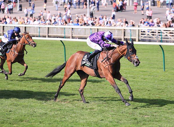 Hello You and Rossa Ryan win the Group Two Unibet Rockfel Stakes