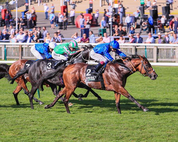 Benbatl and Oisin Murphy wins from Pogo (Kieran Shoemark) and Master of The Seas (William Buick)