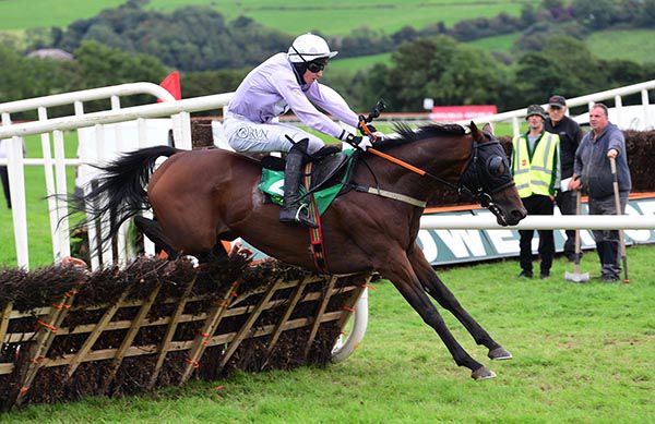 Run For Oscar negotiates the final flight