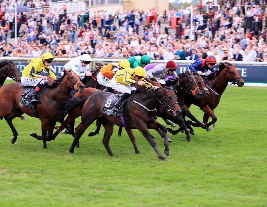 Perfect Power (No.9) winning the Middle Park Stakes