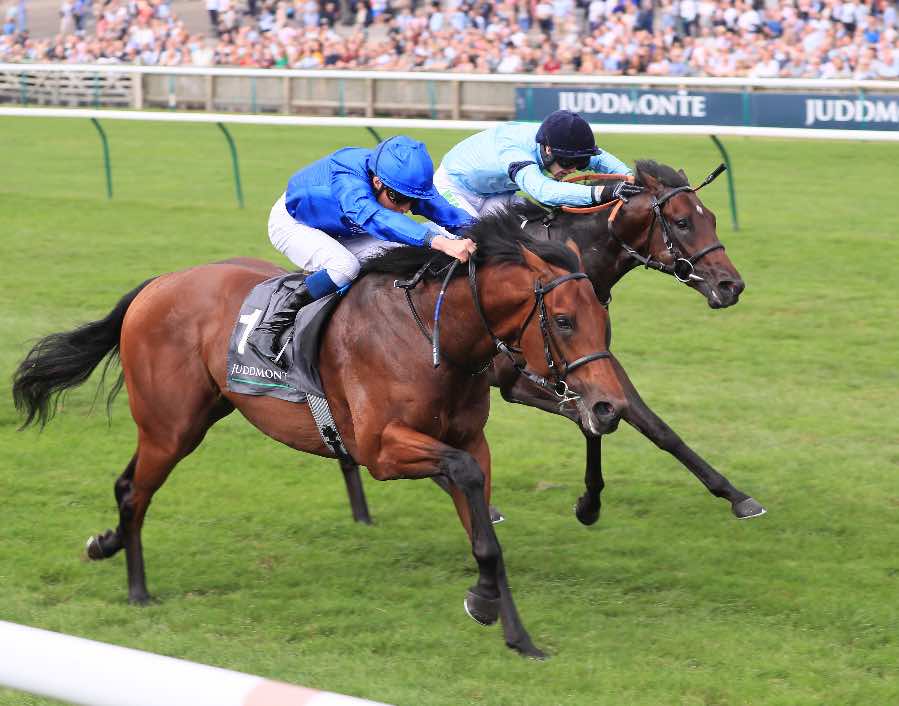 Royal Patronage still has Derby aspirations. 