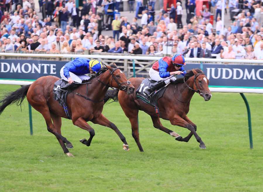 Tenebrism, far side, winning at Newmarket