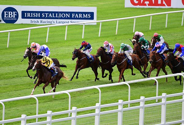 Dun Na Sead stretches the field in the Curragh 