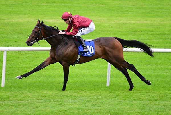 Ruling wins as he pleases