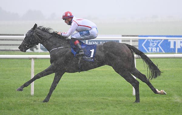 Viareggio comes in clear