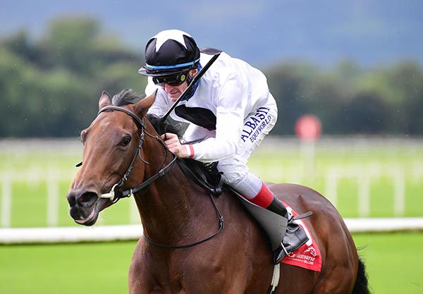 Kevin Manning and Dragons Call 