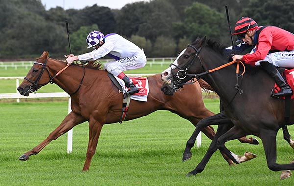 Stylistic Approach holds Coill Na Sionainne