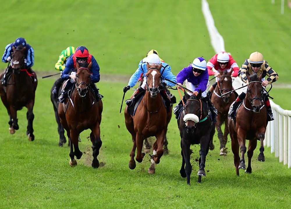 Takana and Siobhan Rutledge (noseband) beat Special Power (light blue)