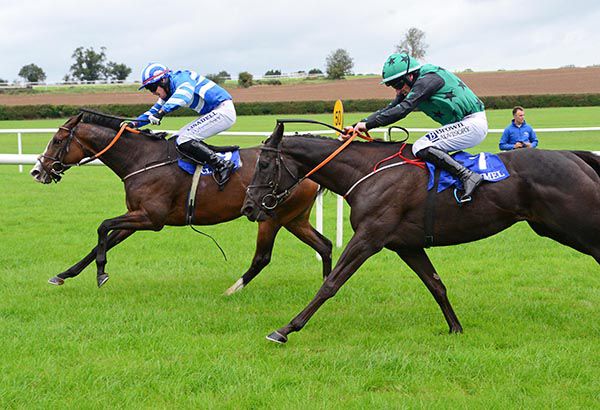 Paddy Wickla and Adam Short lead Pretty Little Liar 