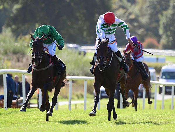 Easca Peasca, far side, gets the better of Showbusiness