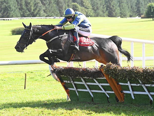 Peace Party and Eoin Walsh 