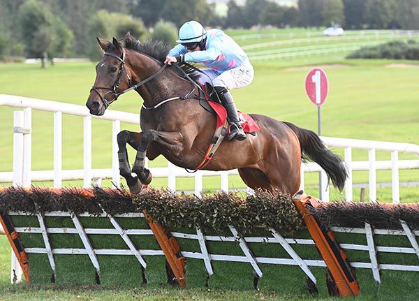 Tullyveery Lad and Jack Foley