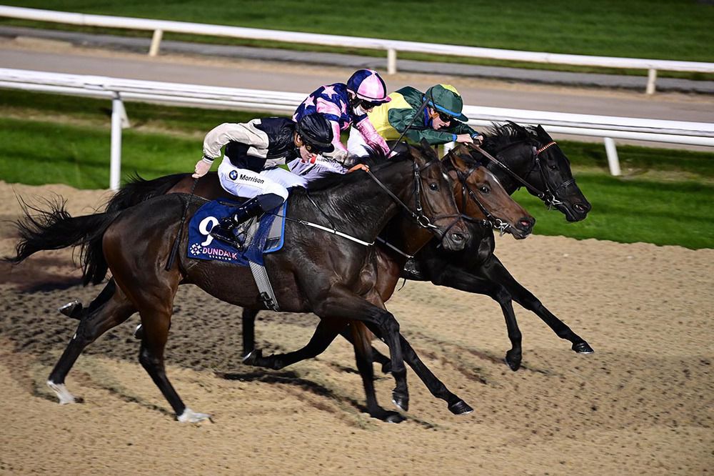 Royal Scholar mows them down on the outside