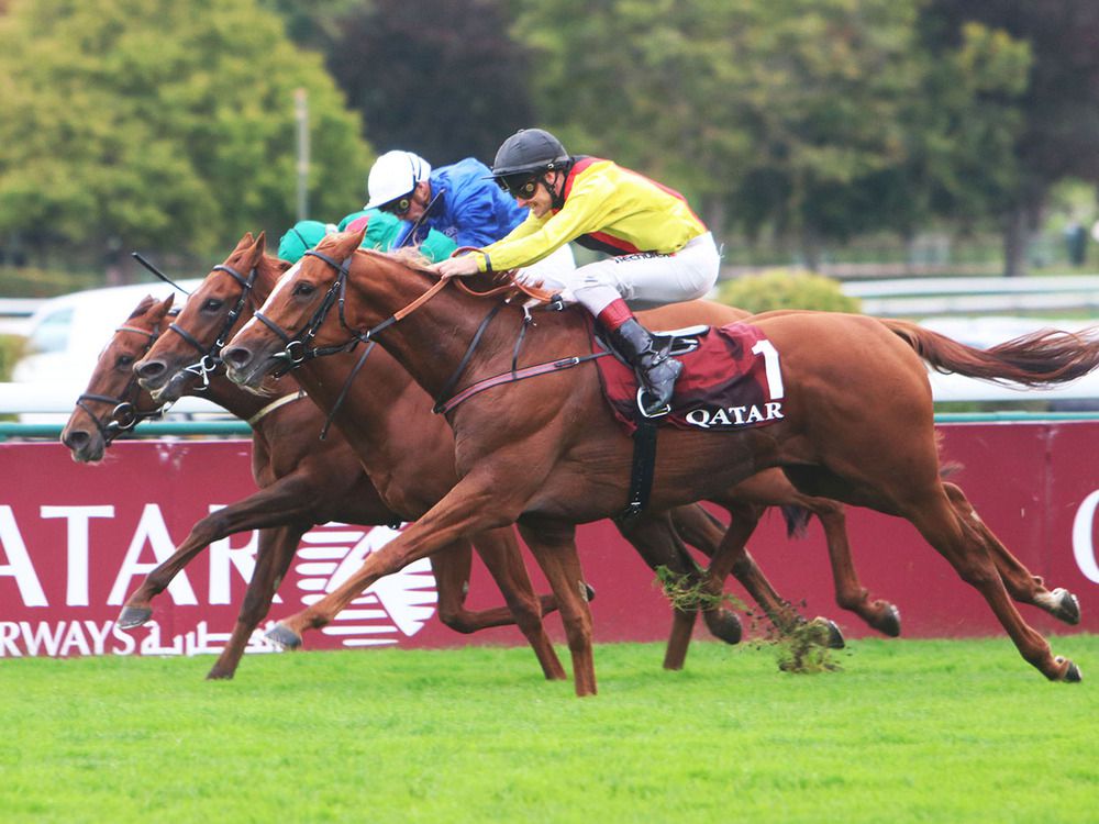 Torquator Tasso (nearside) winning the Qatar Prix De l'Arc De Triomphe