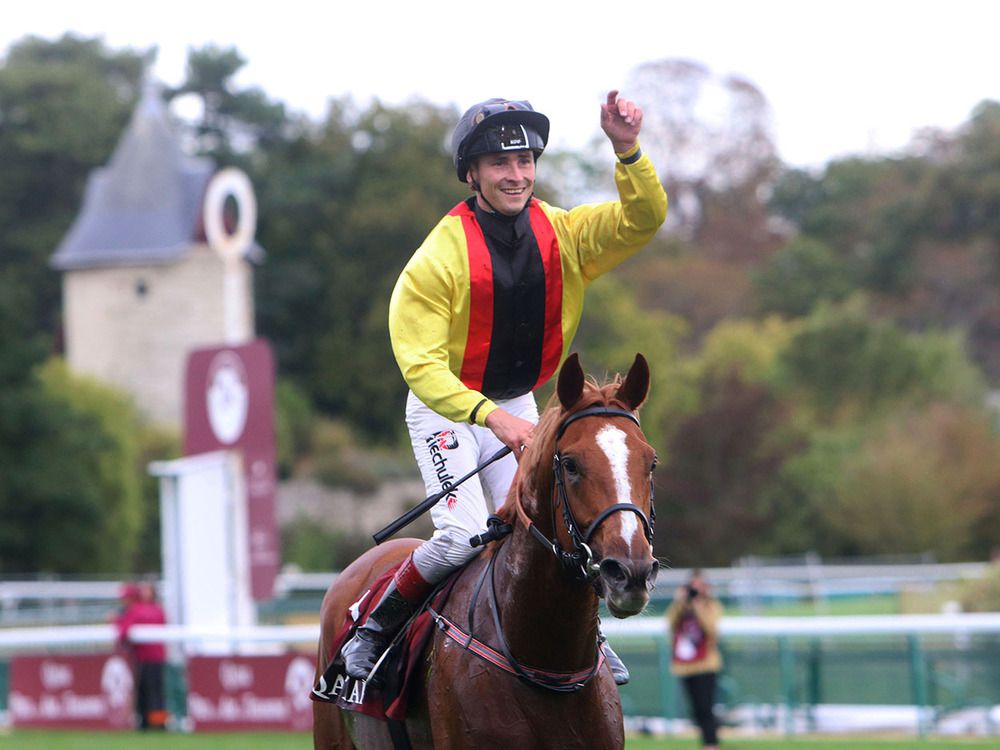 Torquator Tasso pleasing connections ahead of Arc defence