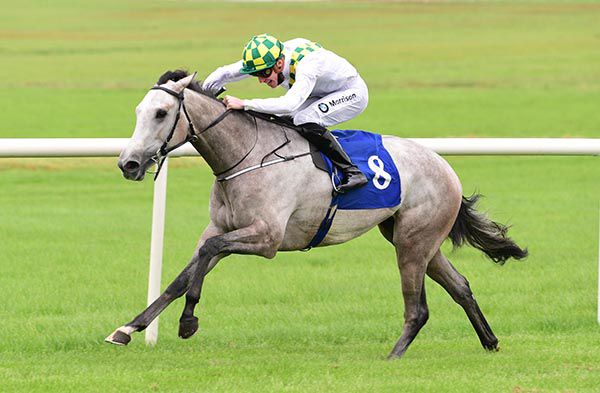 Voice Of Angels is pushed out by Shane Crosse