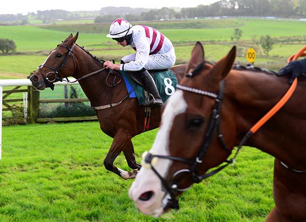 Gelee Blanche (far side), is about to edge past Clondaw Bertie close home