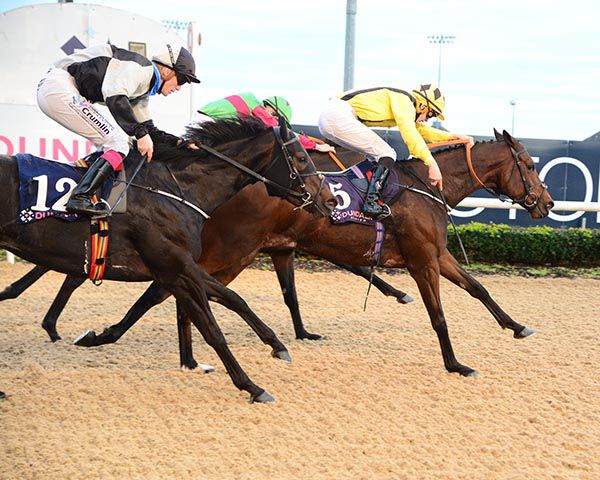 Monzoon and Mikey Sheehy lead at the line