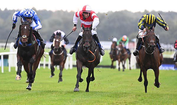 Arrycan (centre) beats Lord Lariat (left) and Favori Loqique