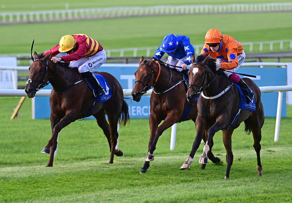 Sunset Shiraz (blue) was third at the Curragh on Sunday 