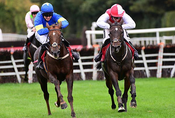 Wolf Prince, right, gets the measure of Dysart Diamond