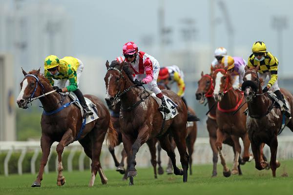 Sky Field (left) is a five-time winner from 17 starts in Hong Kong. 