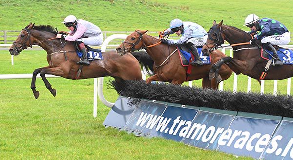 Mark and Nell's Well lead over the last on their way to a Maiden Hurdle success