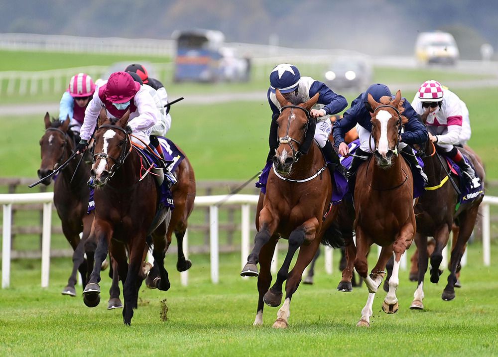 Winner Anner Castle (centre) hampers third home Flora (right) 