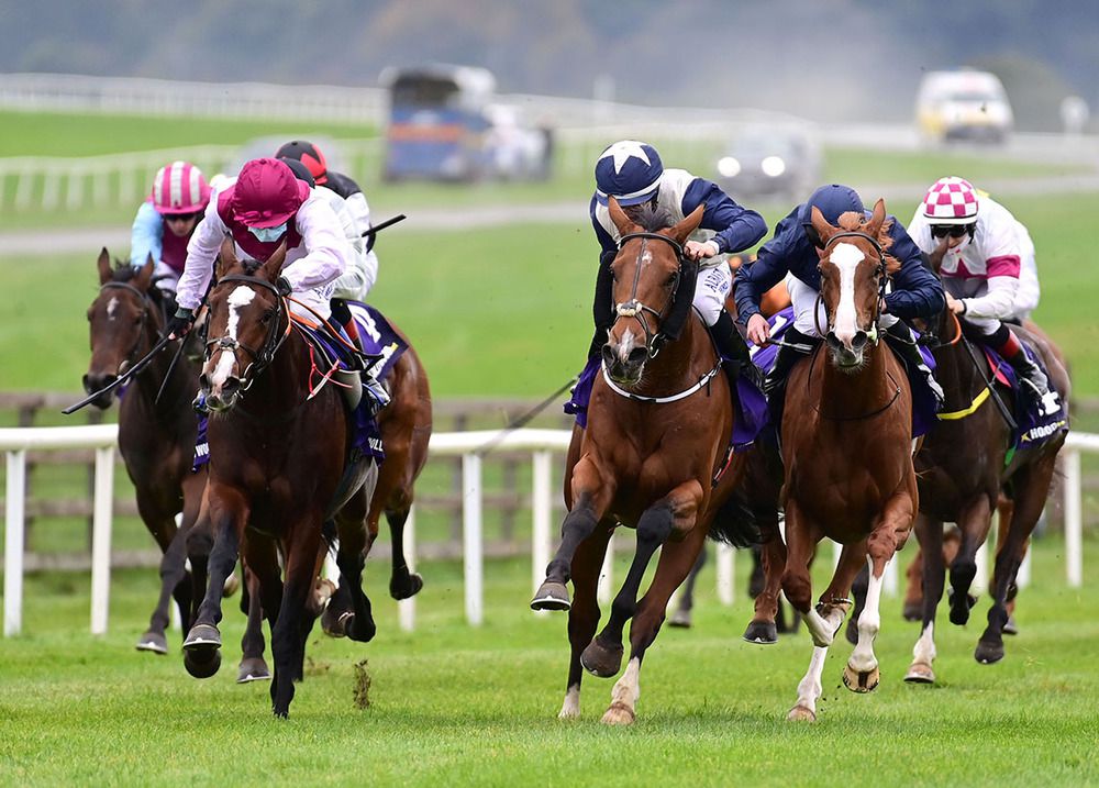 Flora (right) was a hampered third at the Curragh 