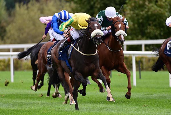 Georgeville, yellow cap