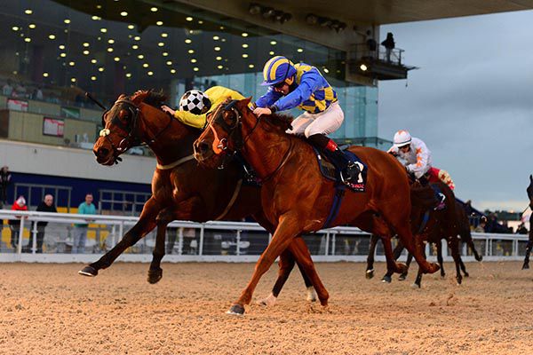 Sunset Nova (near side) beating King's View by a nose