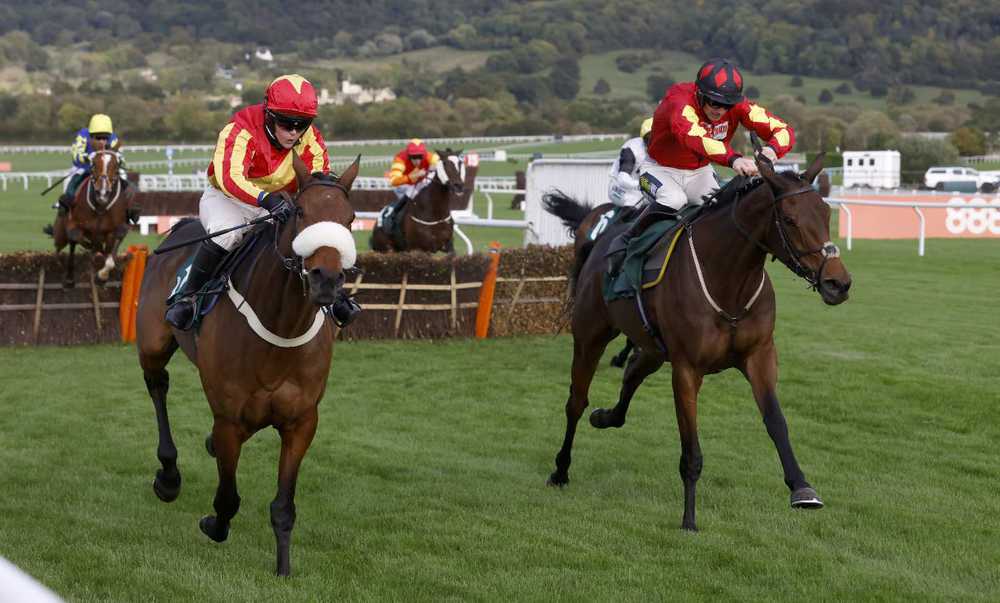 Guard Your Dreams (right) beat Coole Cody (noseband) at Cheltenham in October