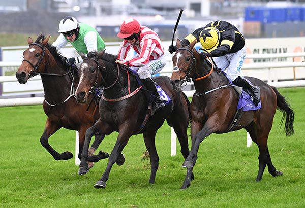 Jiving Jerry (centre) gets up to beat Coventry (right) and Minx Tiara