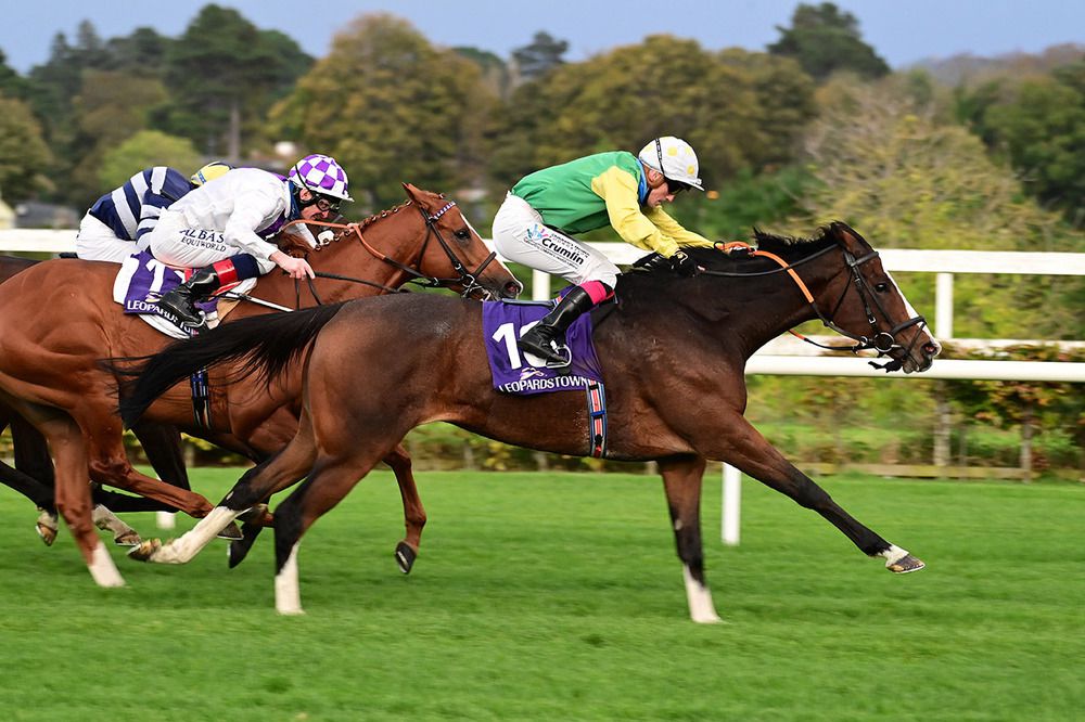 Tudor City and Billy Lee (right) beat Dublin Journal (white) 