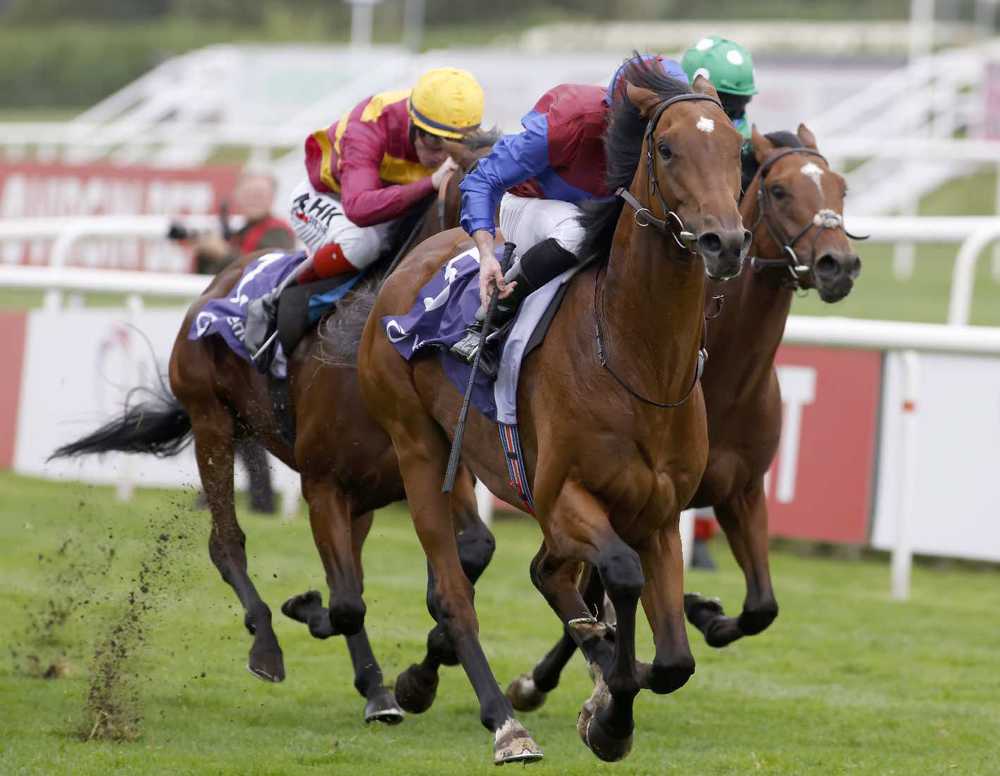 Luxembourg winning at Doncaster