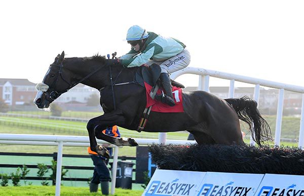 Ballywilliam Boy dominates from the front