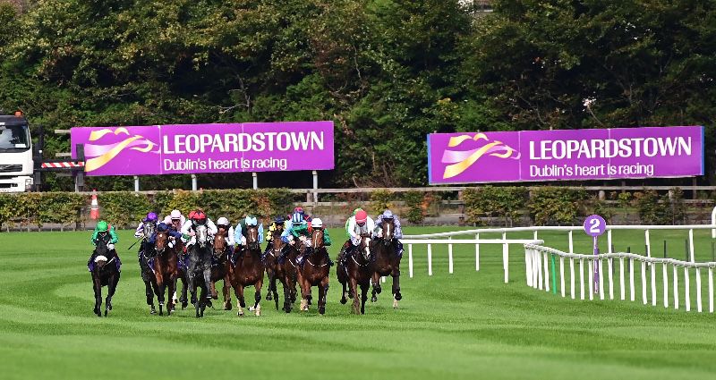Racing takes place at Leopardstown on Thursday