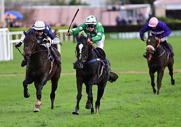Clarens (green & white) is ridden out by Jack Foley to beat Ricky Bobby