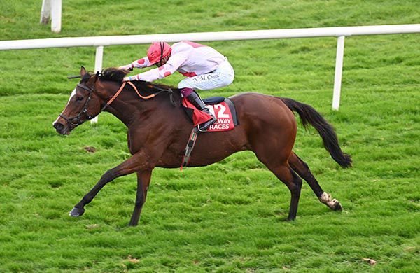 No Memory and Nathan Crosse 