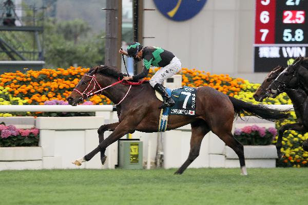 Golden Sixty and Vincent Ho after their Hong Kong Mile success 