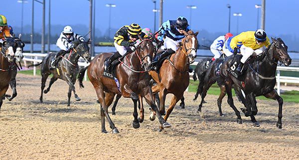 Drombeg Duke and Gavin Ryan (near side) beat Capla Knight (yellow) 